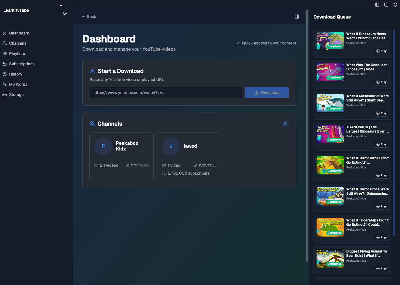Smart downloads interface in LearnifyTube